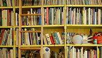David Byrne's Library